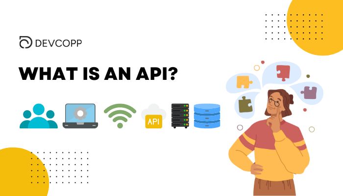 what is api
